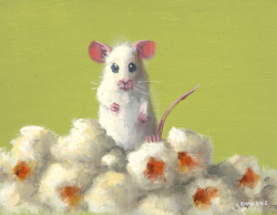 Popcorn Discovery, 2026 - Dunkel Stuart