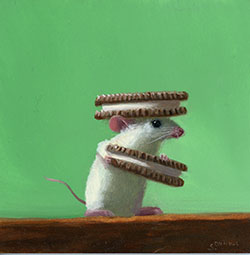 Oreo Delivery, 2026 - Dunkel Stuart