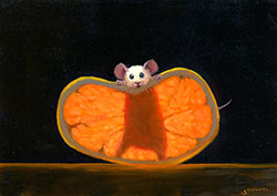 Orange X Ray, 2026 - Dunkel Stuart