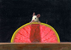 Grapefruit X Ray, 2026 - Dunkel Stuart