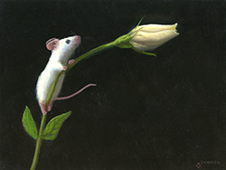 Intrigue - Stuart Dunkel