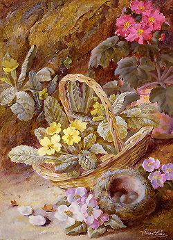 Still Life of Flowers and Bird\'s Nest - Clare Vincent