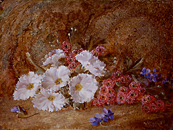 Still life of Flowers - Clare, Vincent