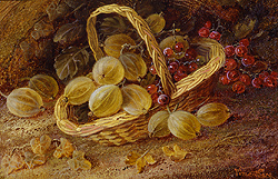 Gooseberries and Currant in a Basket - Clare, Vincent