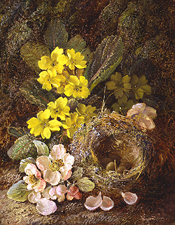 vincent_clare_a3377_still_life_with_birds_nest_small.jpg