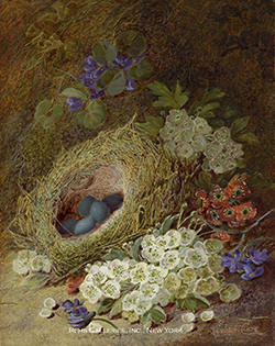 Still Life of Flowers & Bird\'s Nest - Clare, Vincent