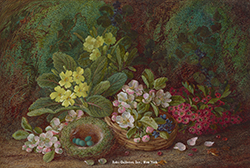 Still Life of Flowers and Bird\'s Nest - Clare, Vincent