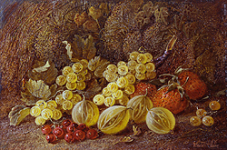 Still Life of Fruit - Clare, Vincent