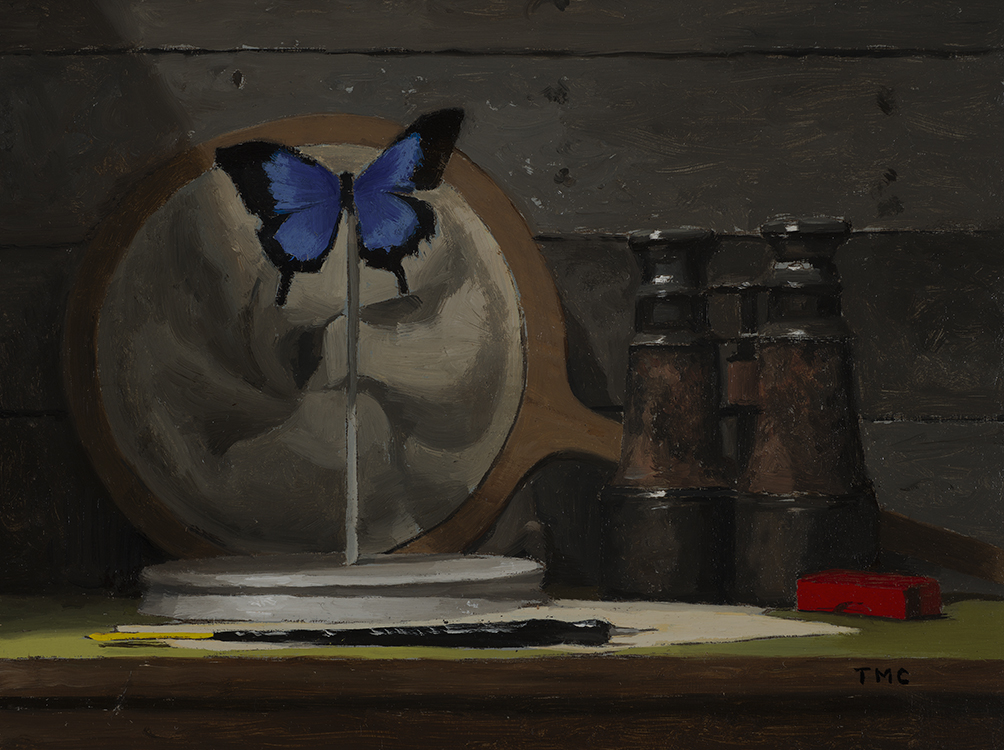 todd_m_casey_tc1023_ulysses_butterfly