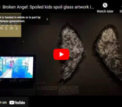 a link to a video showing children damaging the sculpture