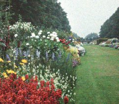 autochromes-1-2000x900