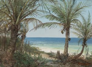 erik_koeppel_ek1043_coconut_palms