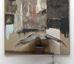 Canyon1-471x532