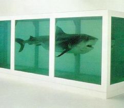 a shark in a tank by Damien Hirst