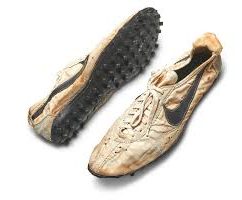 Moon Shoe