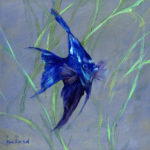 Katie Swatland <br/>Blue Angel Fish <br/>6.5 x 6.5 inches