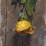 Yellow Rose Study