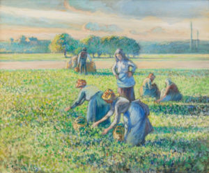 women working in the field
