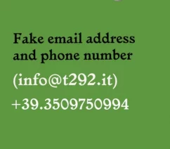 Instagram screen shot noting fake email address and phone number