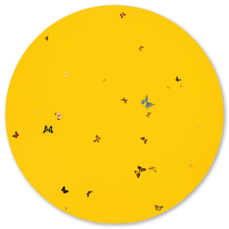 Damien Hirst’s Beauty is in the Eye of the Beholder - circular yellow painting with butterflies