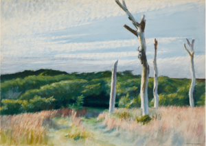 A landscape by Edward Hopper on Cape Cod, showing the branchless trunks of four dead trees sticking out of a grassy field in the foreground.