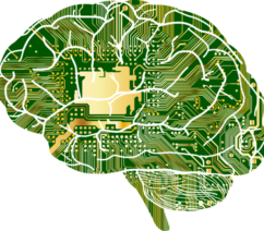 The shape of a human brain with a circuitboard image within