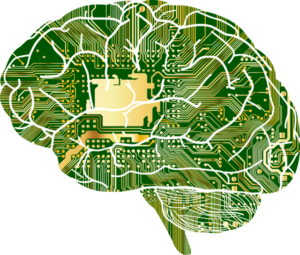 The shape of a human brain with a circuitboard image within