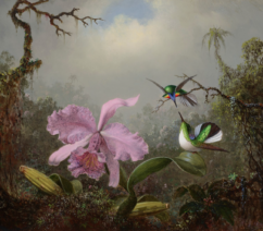 A painting of a pair of hummingbirds near a pink flower against a background of trees.