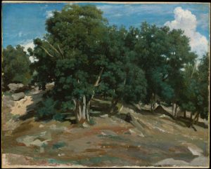 A 19th century landscape by Corot showing oak trees