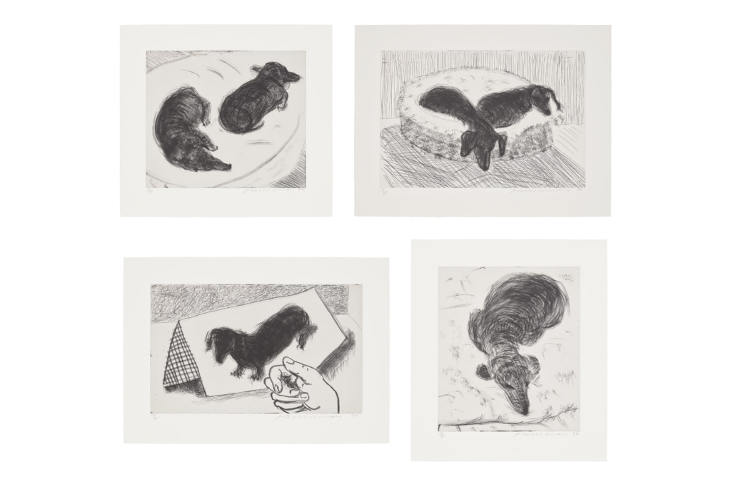 A series of black-and-white prints of dachshunds