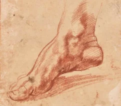 A red chalk drawing of an arched right foot.