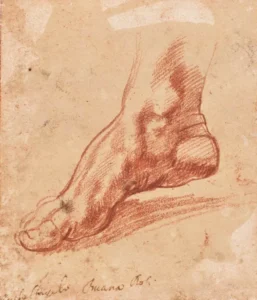 A red chalk drawing of an arched right foot.
