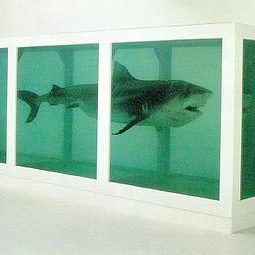 a shark in a tank by Damien Hirst