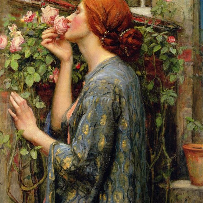 Waterhouse "The Soul of the Rose"