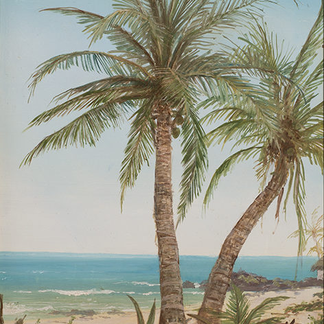 erik_koeppel_ek1028_coconut_palms
