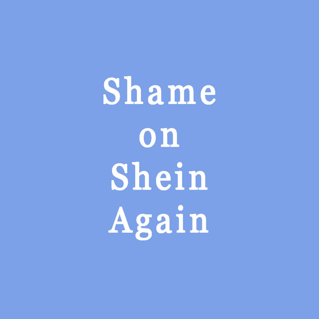 Shame on Shein Again