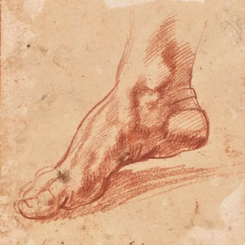 A red chalk drawing of an arched right foot.