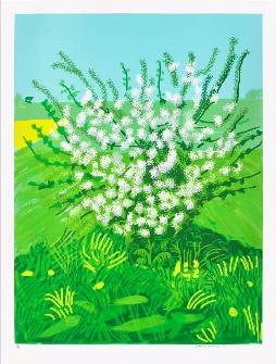 A painting of a bush with white flowersDescription automatically generated