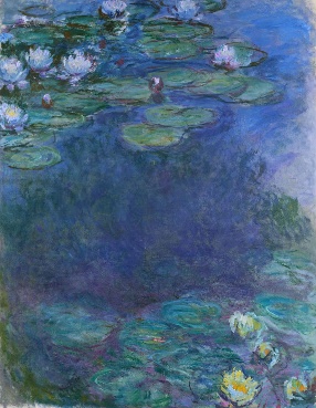 Water lilies in a pondDescription automatically generated